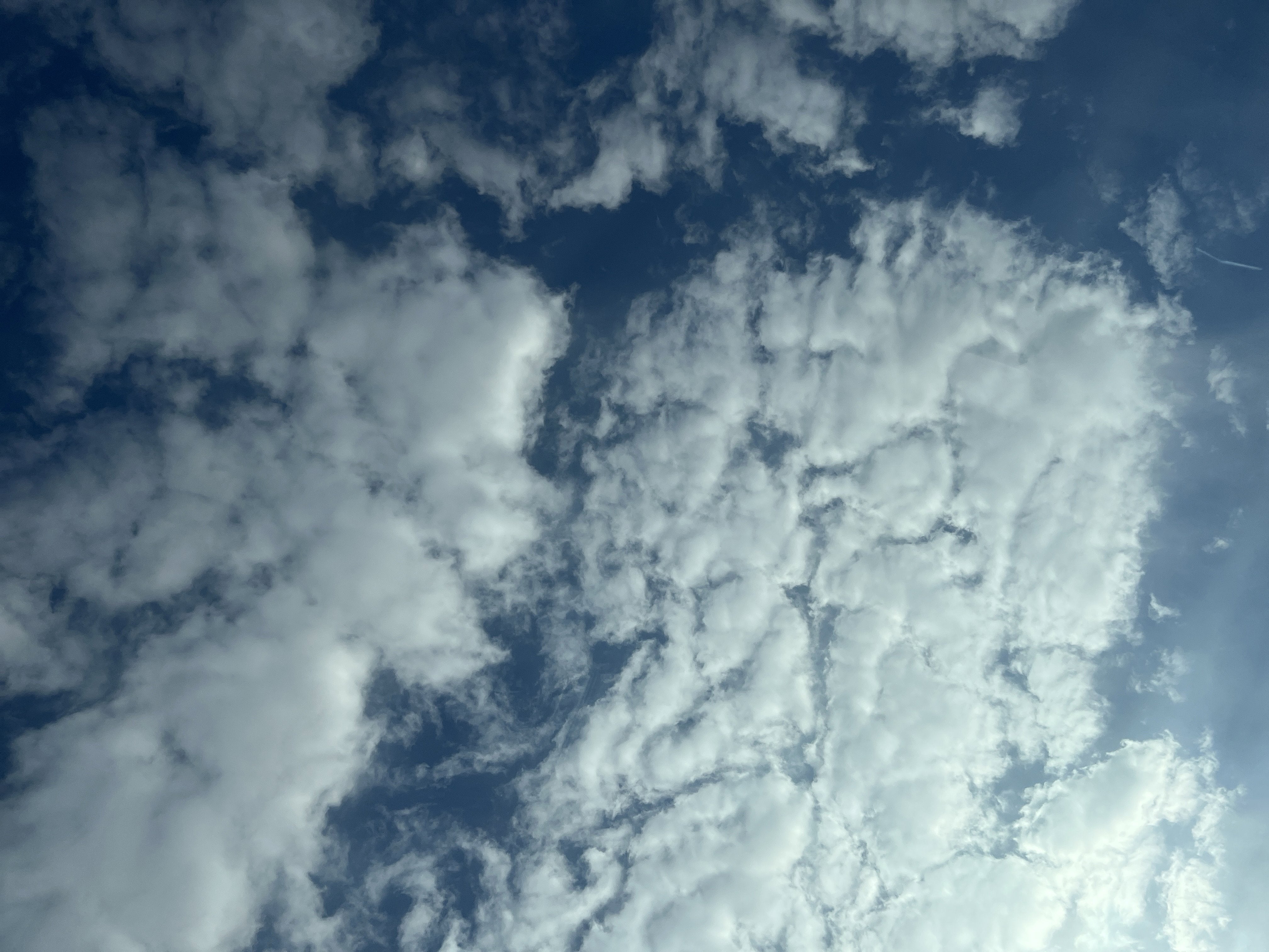 2015 Cadillac Escalade ESV Luxury