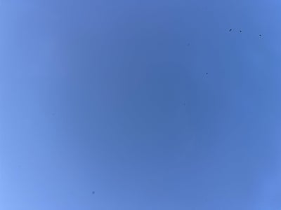 2016 Honda HR-V EX-L w/Navi