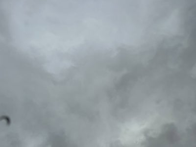 2017 Toyota Sienna XLE Auto Access Seat