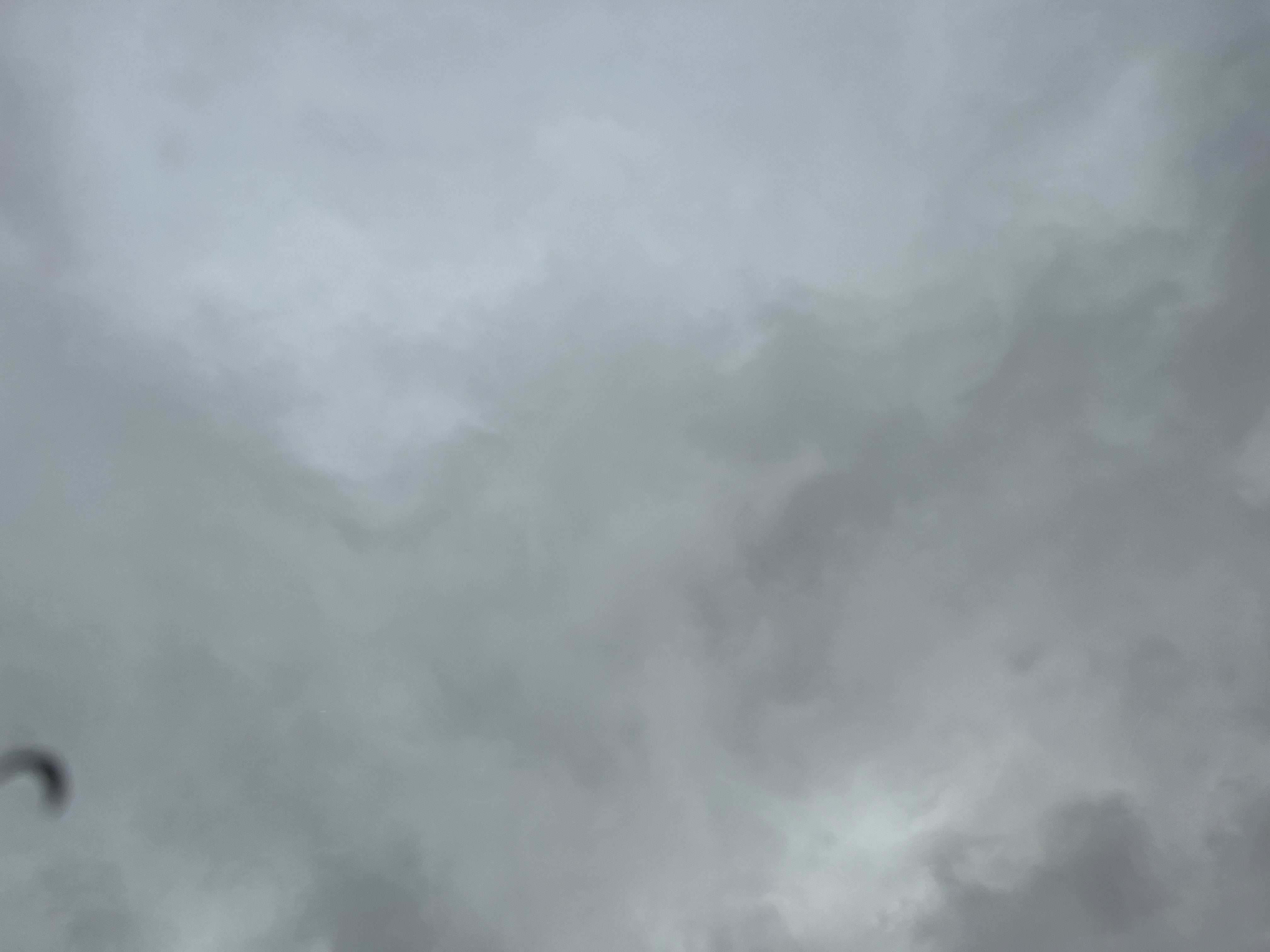 2017 Toyota Sienna XLE Auto Access Seat